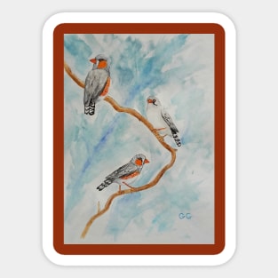 Zebra Finches - beautiful birds Sticker